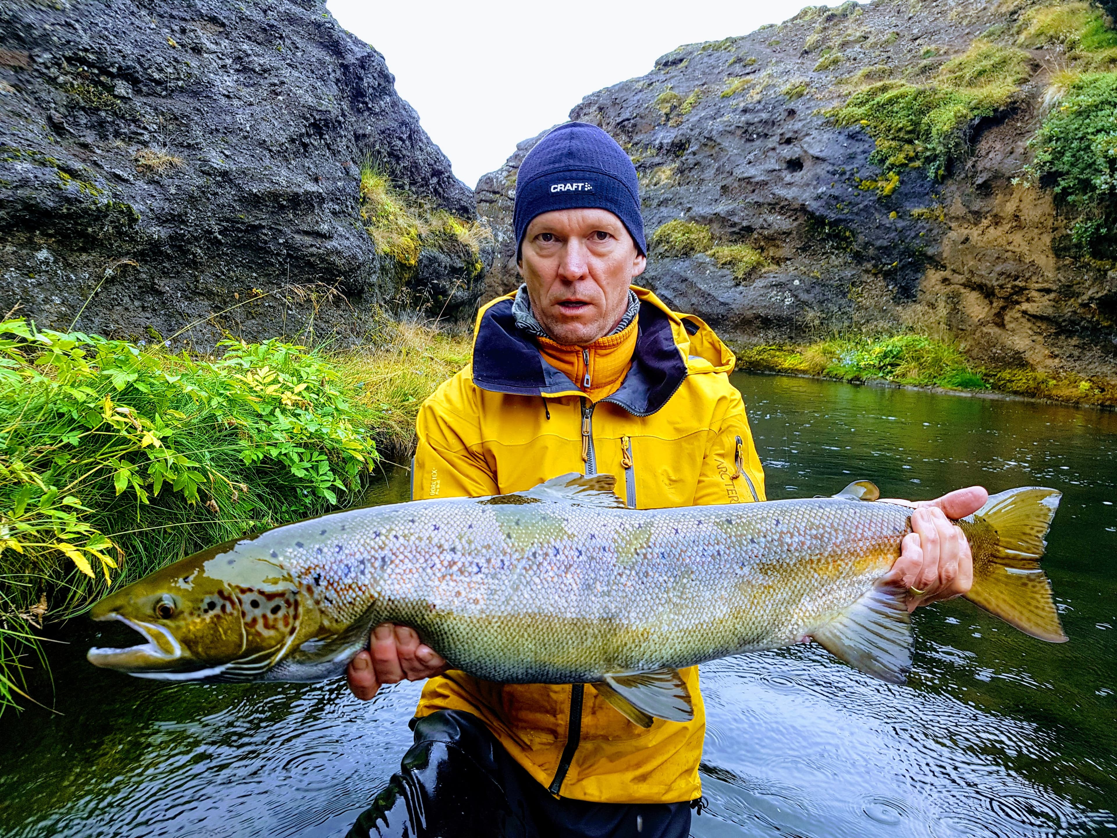 Atlantic Salmon