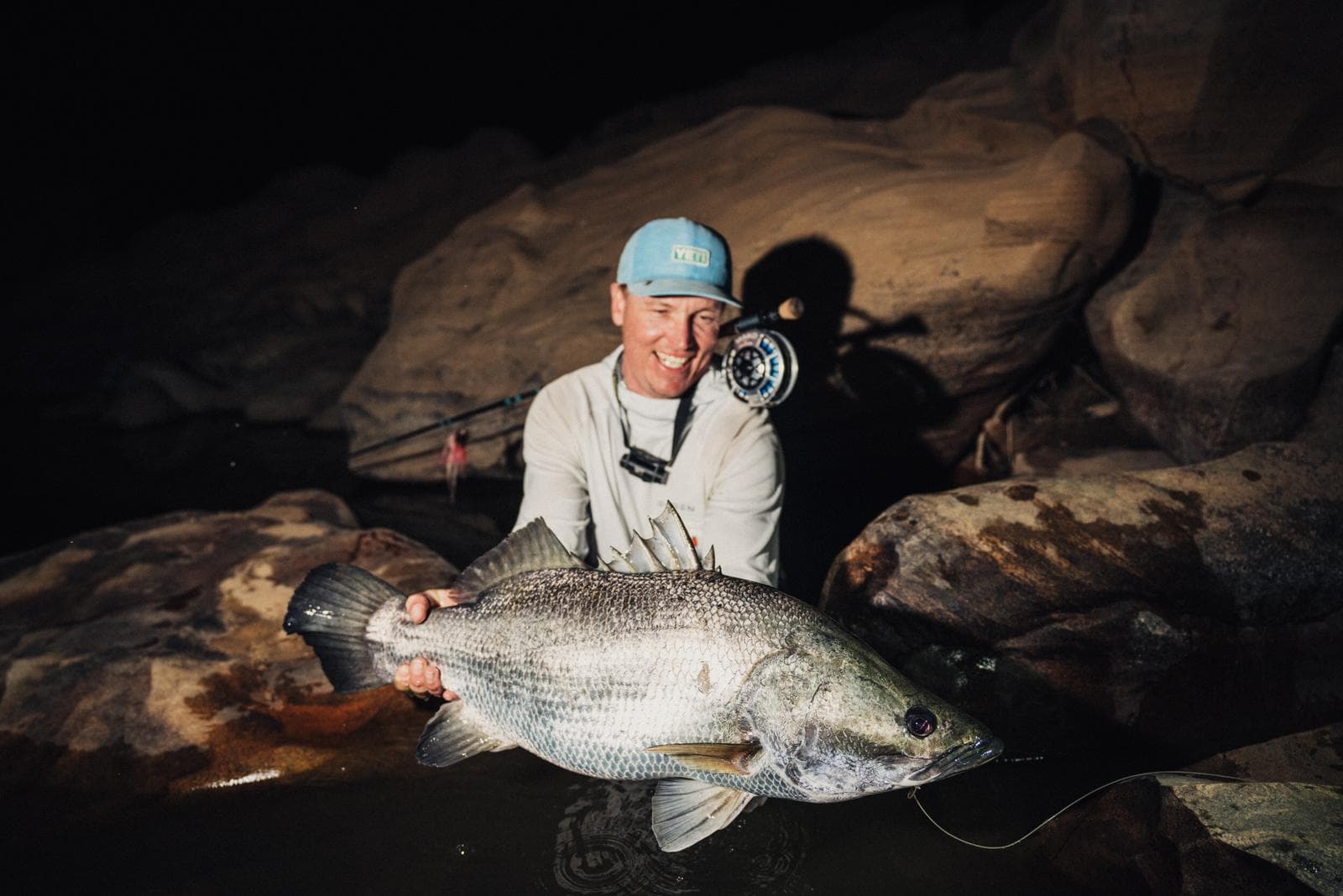 Nile perch