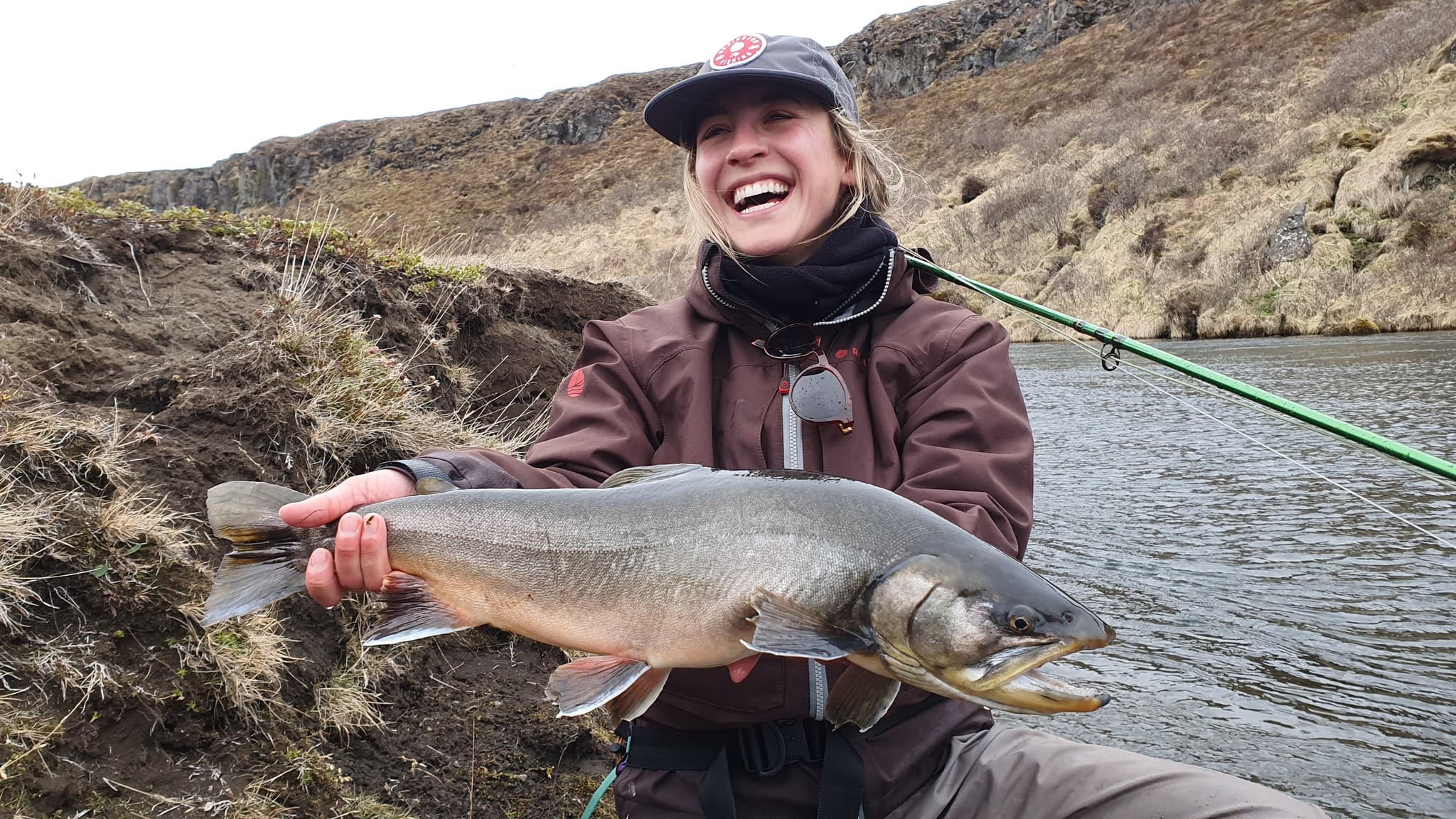 Arctic char