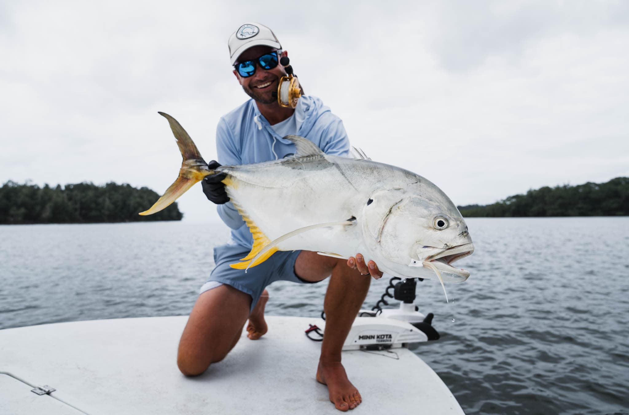 Longfin jack