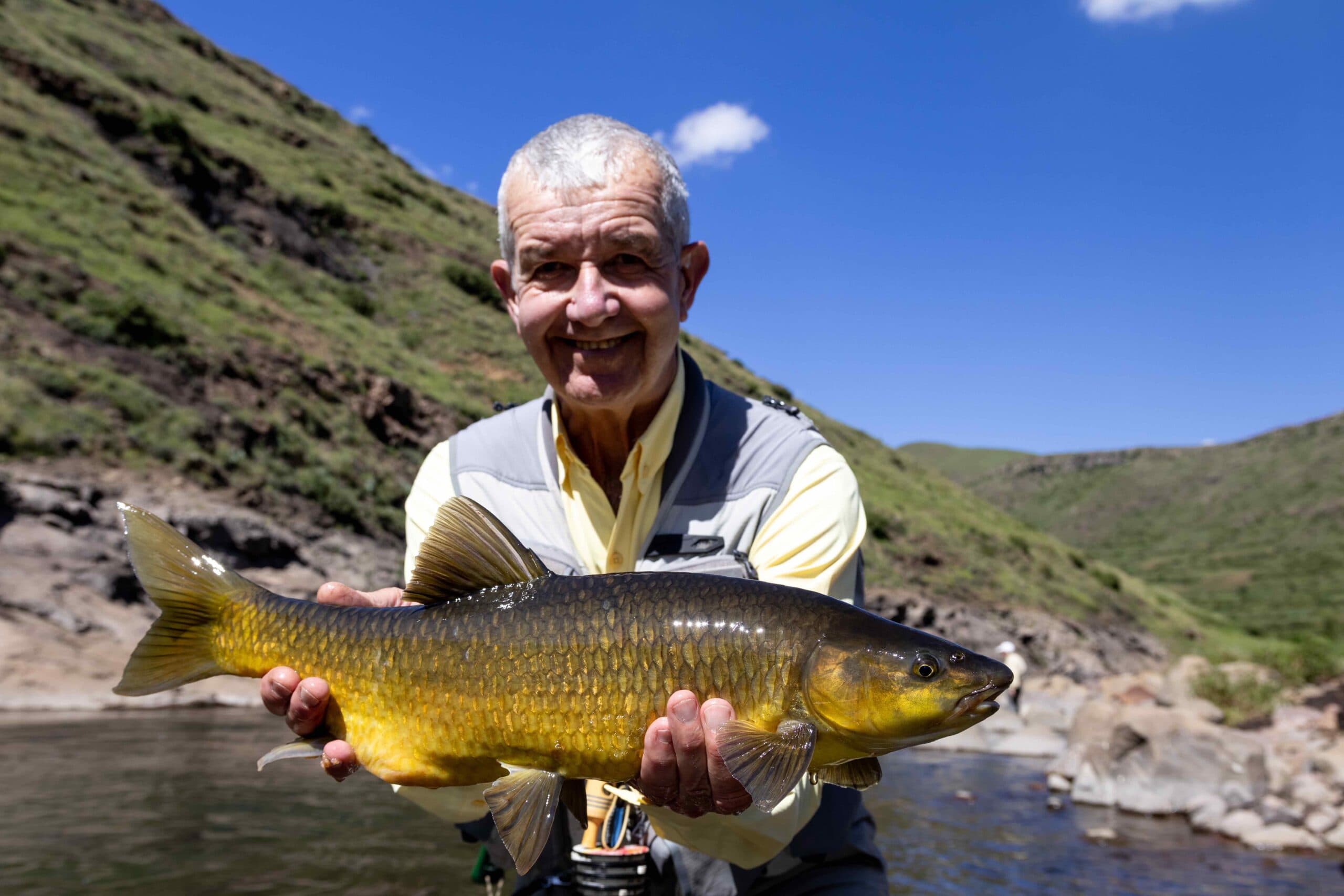 Yellowfish