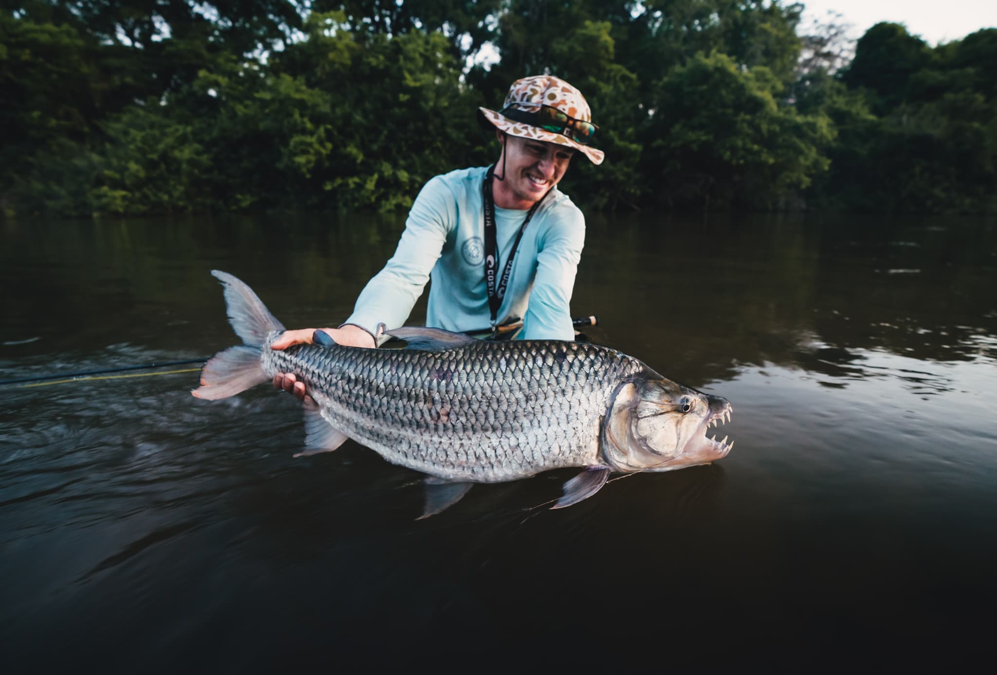 Tigerfish